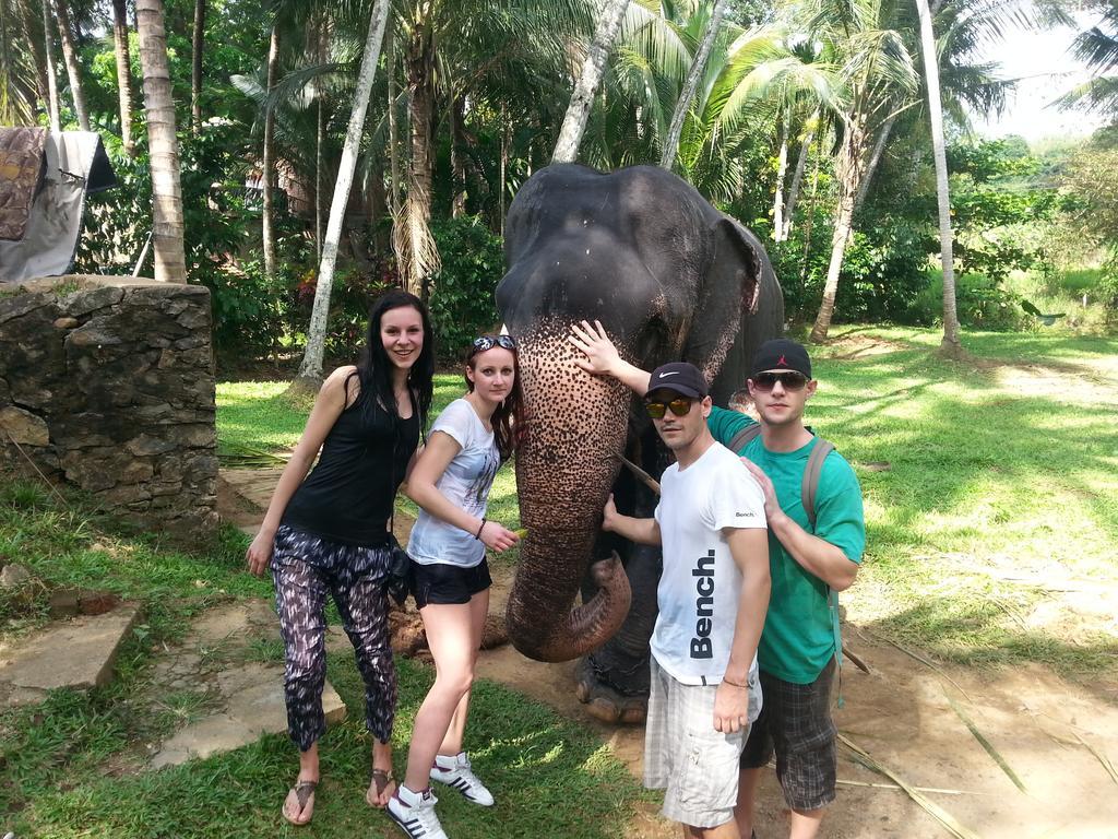 Elephant Reach Villa Pinnawala Pinnawala (Kegalle) Exterior photo