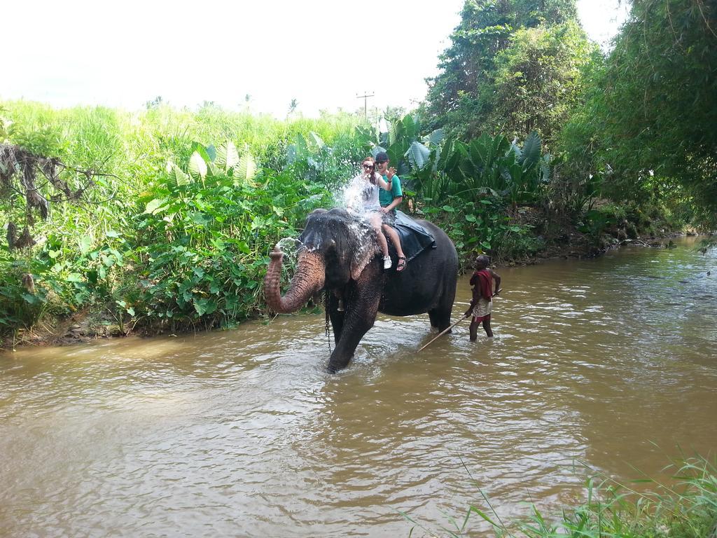 Elephant Reach Villa Pinnawala Pinnawala (Kegalle) Exterior photo