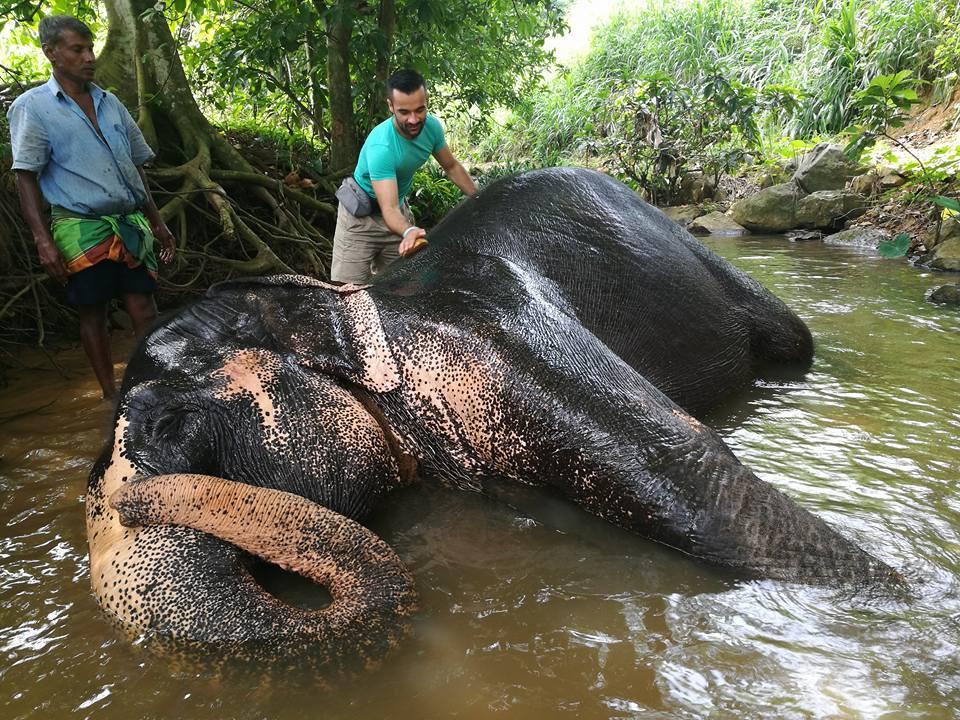 Elephant Reach Villa Pinnawala Pinnawala (Kegalle) Exterior photo